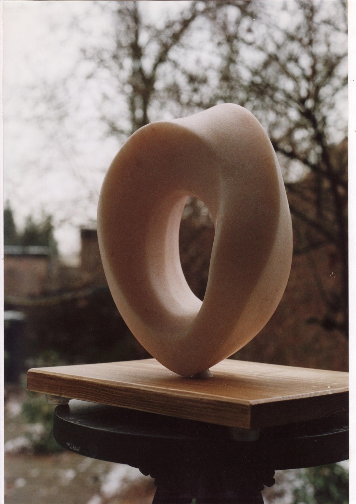 Rose Aurora-marble - Den Haag
